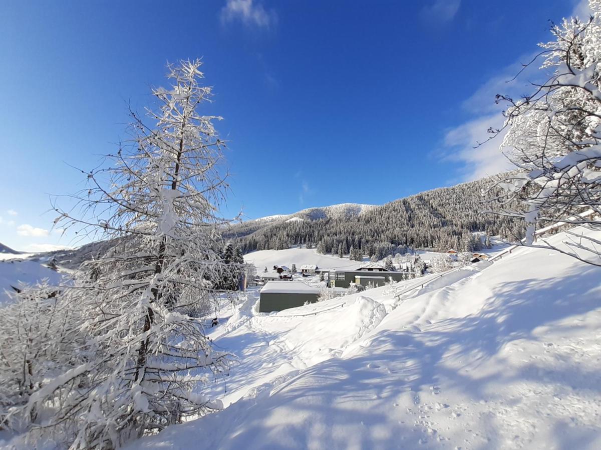 Chalet Verdino Бад Кляйнкирххайм Экстерьер фото