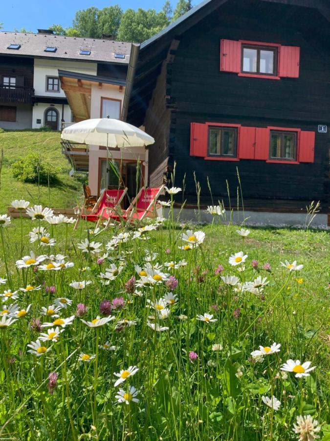 Chalet Verdino Бад Кляйнкирххайм Экстерьер фото